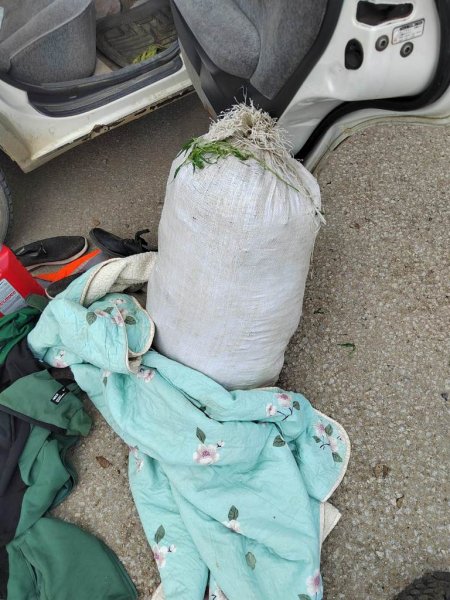 В Еврейской автономной области сотрудники Госавтоинспекции пресекли перевозку  почти  5 кг марихуаны